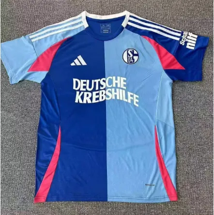 2024-2025 Schalke 04 Special Edition blue Football Jersey AAA fan-grade