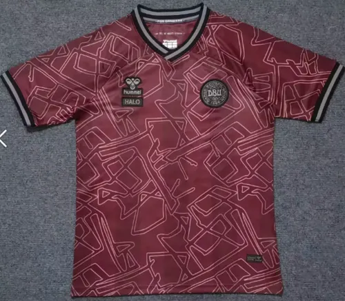 2024/2025 Denmark National Team Special Edition Football Shirt AAA fan-grade