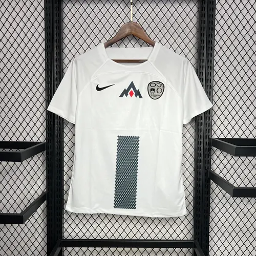 2024-2025 Slovenia National Team Away Football Shirt AAA fan-grade