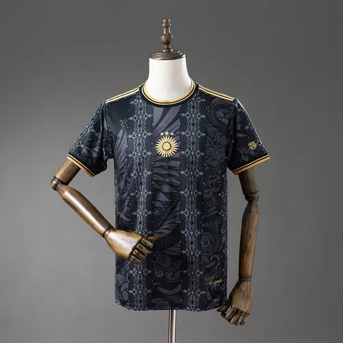 2026/2027 Argentina Camiseta Edición Especial AAA Grado Fan — view 1