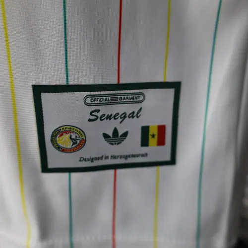 2026 Version Joueur Maillot Édition Spéciale Équipe Nationale Sénégal — view 8