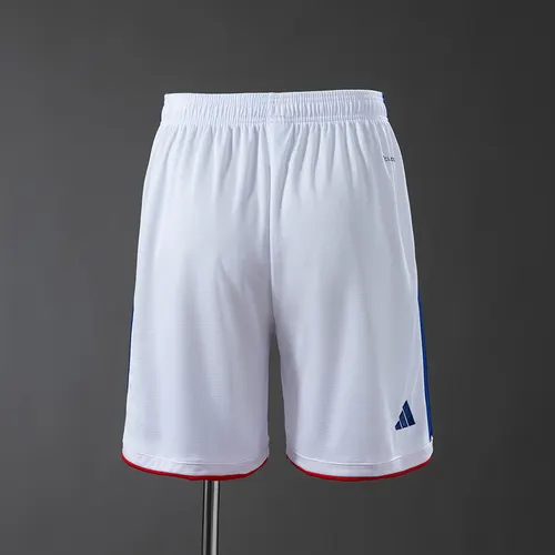 2026 Japan National Domicile Shorts AAA qualité fan — view 2