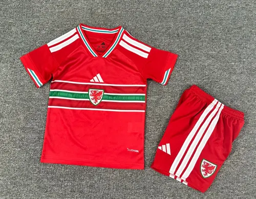 2026 Wales Home Football Shirt AAA fan-grade Kids Size