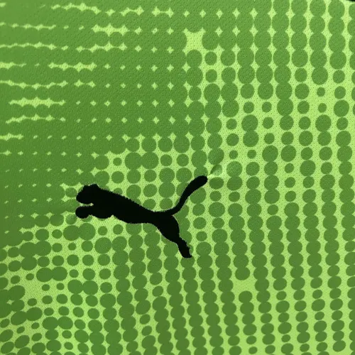 Camisa de Goleiro Portugal Verde 2025 AAA Grau Fã — view 5