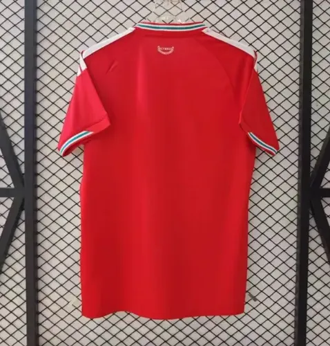 2026 Wales Home Football Shirt AAA fan-grade — view 2