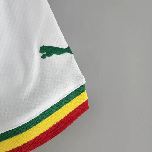 2022 FIFA World Cup Senegal National Team Home Shirt — view 8