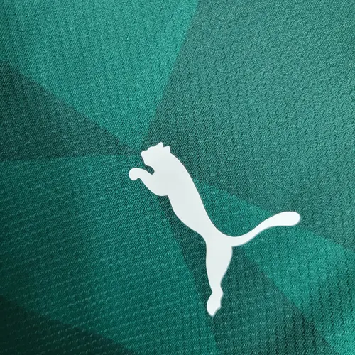 2023/2024 Palmeiras Camisa Principal Qualidade Tailandesa — view 4