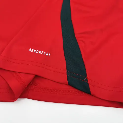 2024-2025 Hongrie Équipe Nationale Domicile Maillot de Football — view 7