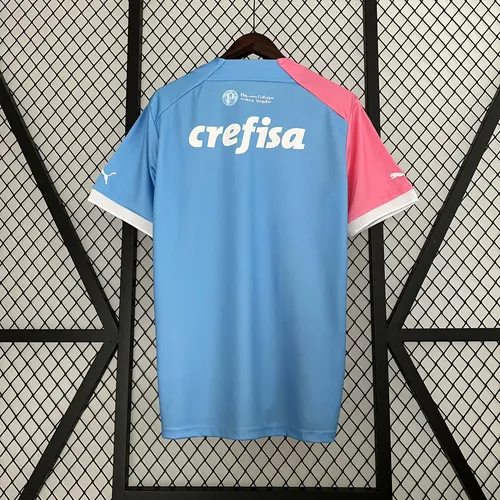 2023/2024 Palmeiras Commemorative Edition Jersey AAA fan-grade — view 2
