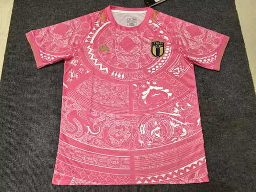 2024/2025 Italy Special Edition pink Football Jersey AAA fan-grade