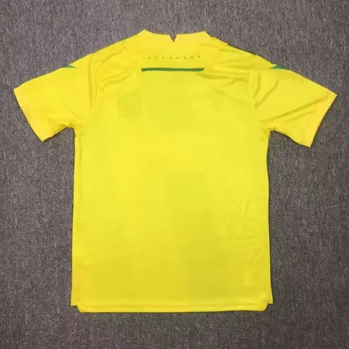2024/2025 Nantes Home Football Shirt AAA fan-grade — view 2