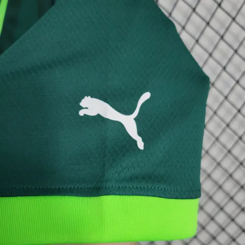 2023/2024 Palmeiras Camisa Principal Qualidade Tailandesa — view 9