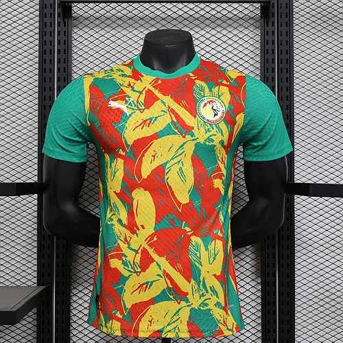 2025/2026 Player Version Senegal National Team Pre-match outfit Football Shirt AAA fan-grade