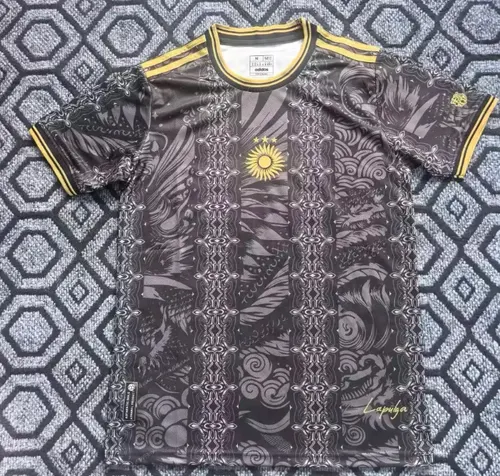 2026/2027 Argentina National Special Edition Football Jersey AAA fan-grade