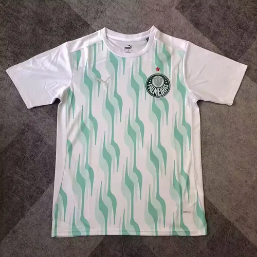 2025/2026 Palmeiras Training clothes Football Jersey AAA fan-grade