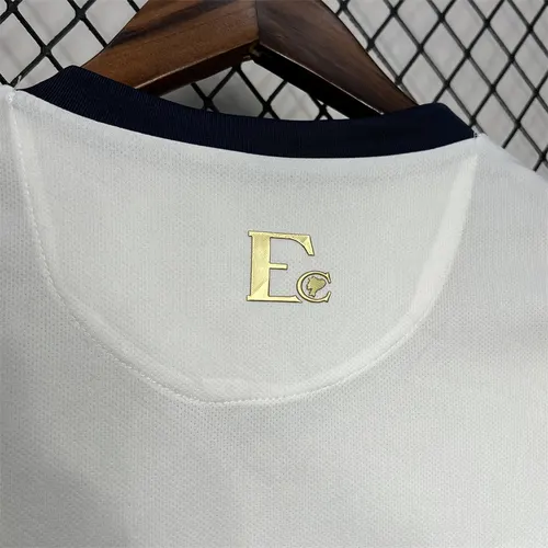 2024-2025 Germany Pre-match training uniform-3 Jersey AAA fan-grade — view 7
