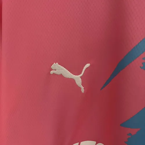 2023/2024 Palmeiras Commemorative Edition Jersey AAA fan-grade — view 5