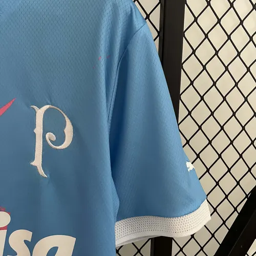 2023/2024 Palmeiras Commemorative Edition Jersey AAA fan-grade — view 6