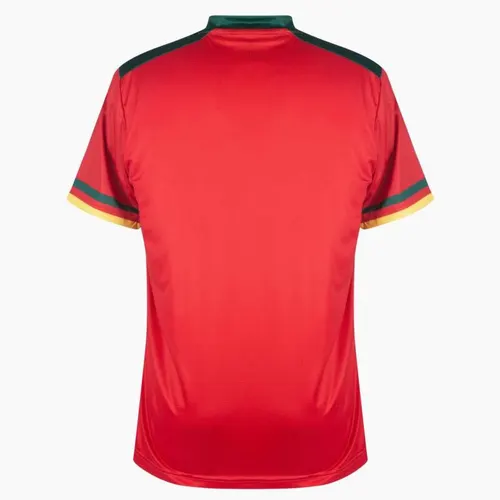 2022 FIFA World Cup Cameroon National Team Third Away Shirt — view 2