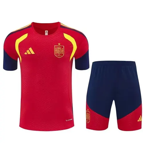 2026 Spain National TeamTraining Suit Special Edition Red Football Jersey 1:1 Thai Quality