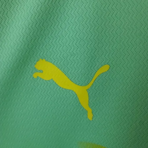2022/2023 Palmeiras Third Away Jersey AAA fan-grade — view 4
