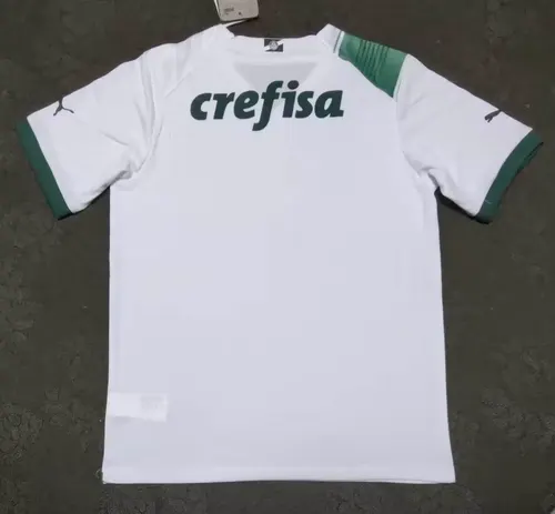 2023/2024 Palmeiras Away Jersey AAA fan-grade — view 2