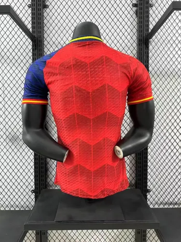 2024/2025 Player Version Spain Special Edition Jersey 02 — view 2