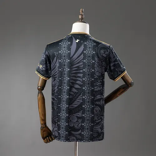 2026/2027 Argentina Camiseta Edición Especial AAA Grado Fan — view 2