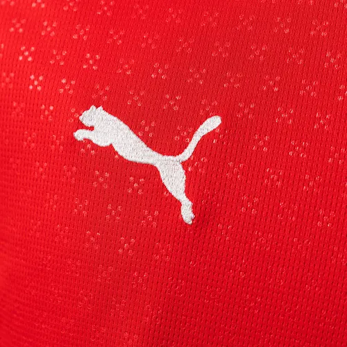 2025 Portugal Maillot Domicile Football AAA qualité fan — view 4