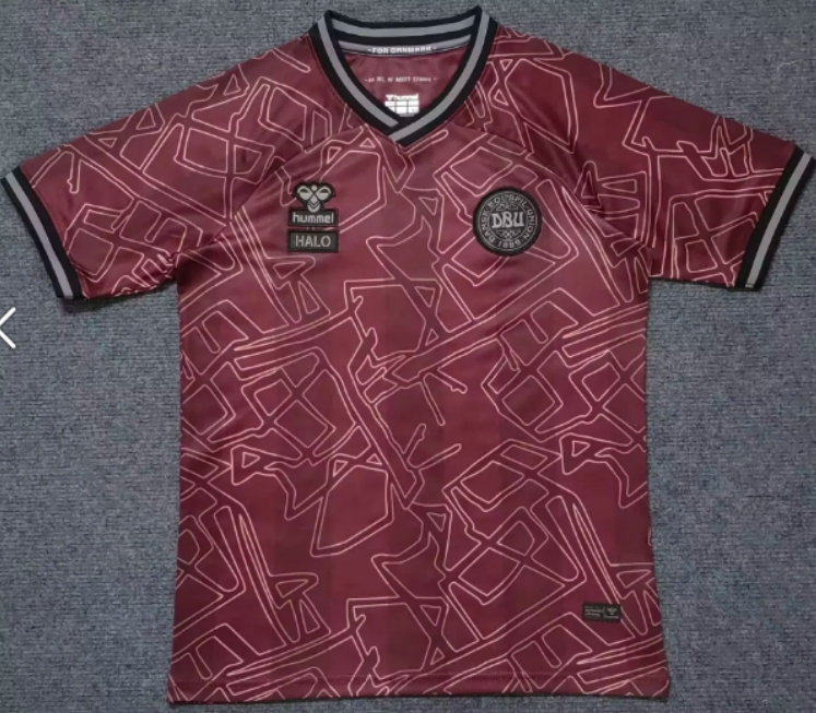 2024/2025 Denmark National Team Special Edition Football Shirt AAA fan-grade