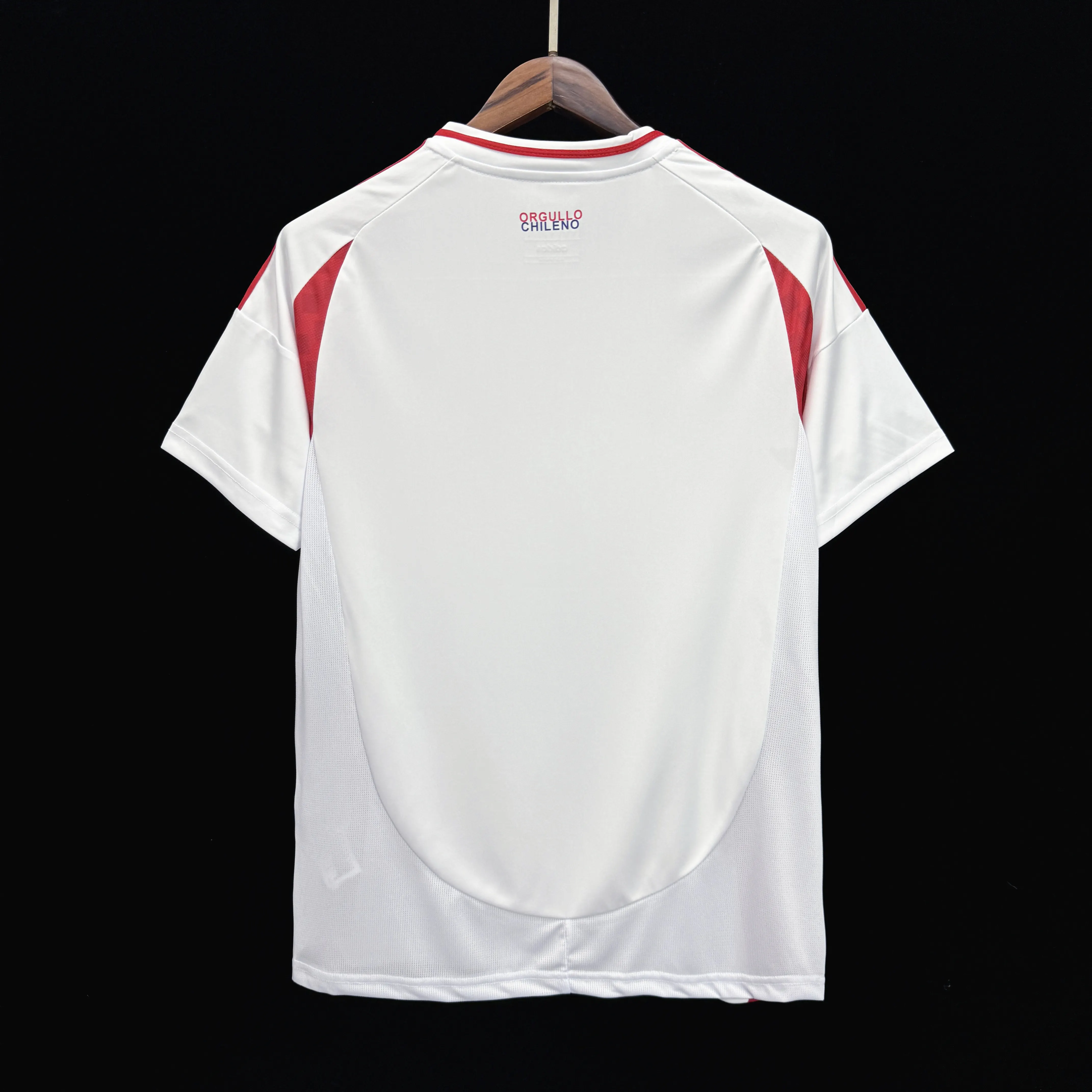 2024-2025 Chile National Team Soccer Jersey Away — view 2
