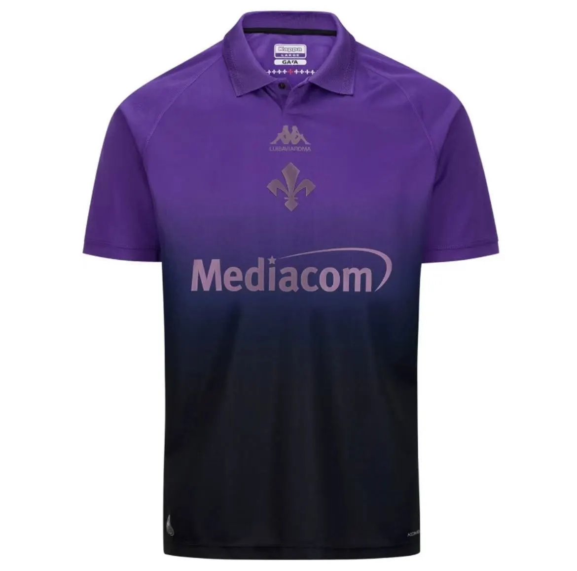 2024/2025 Fiorentina Away Football Jersey AAA fan-grade