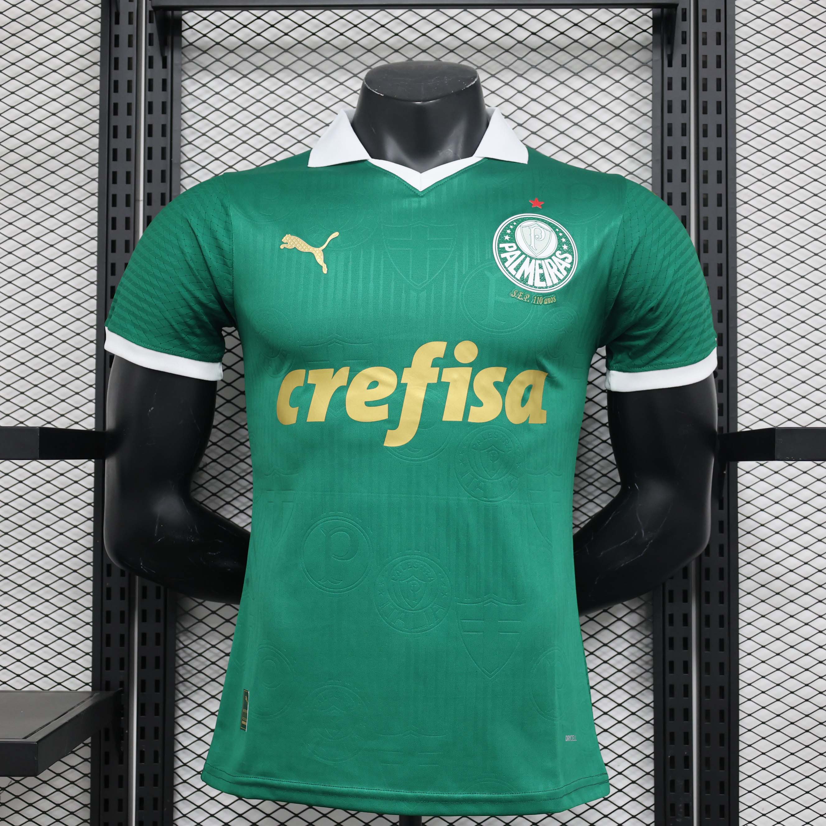 2024/2025 Player Version Palmeiras Home Jersey AAA fan-grade