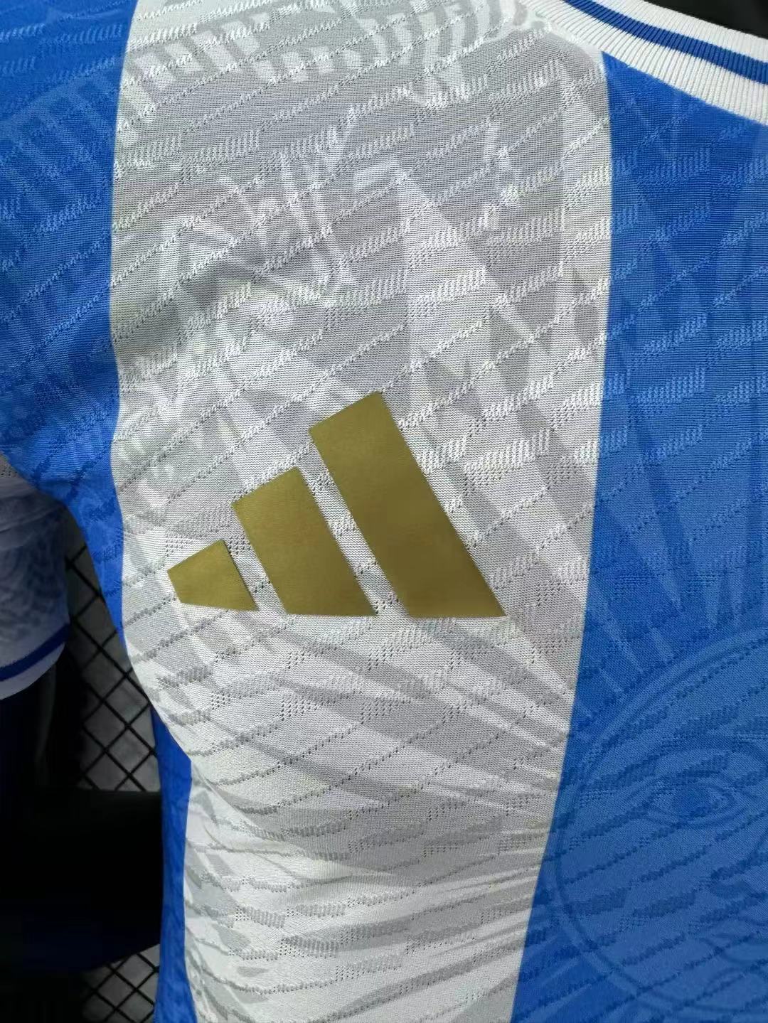 2024/2025 Player Version Argentina Special Edition Jersey 03 — view 5