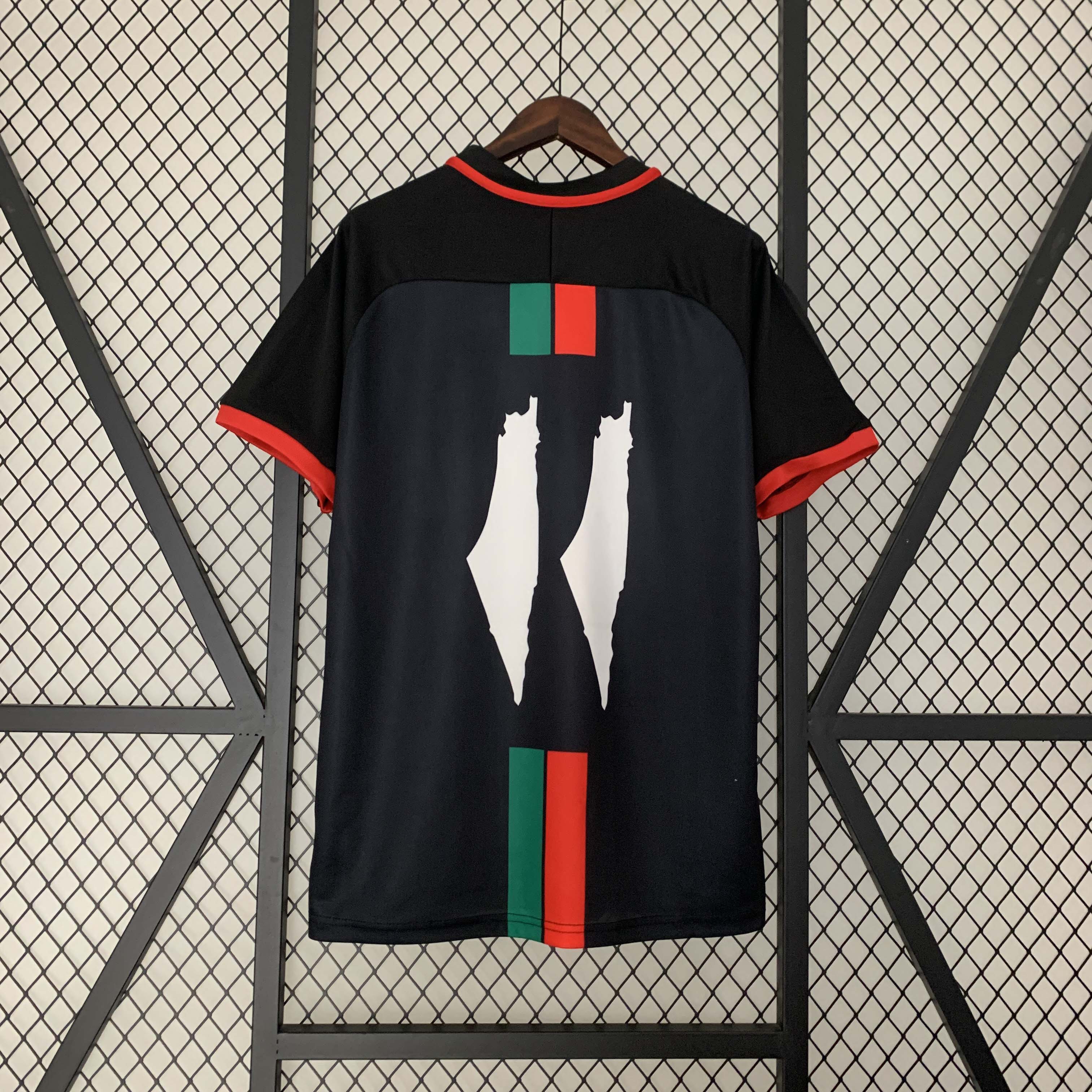 2023-2024 Palestine Home Football Shirt AAA fan-grade — view 2