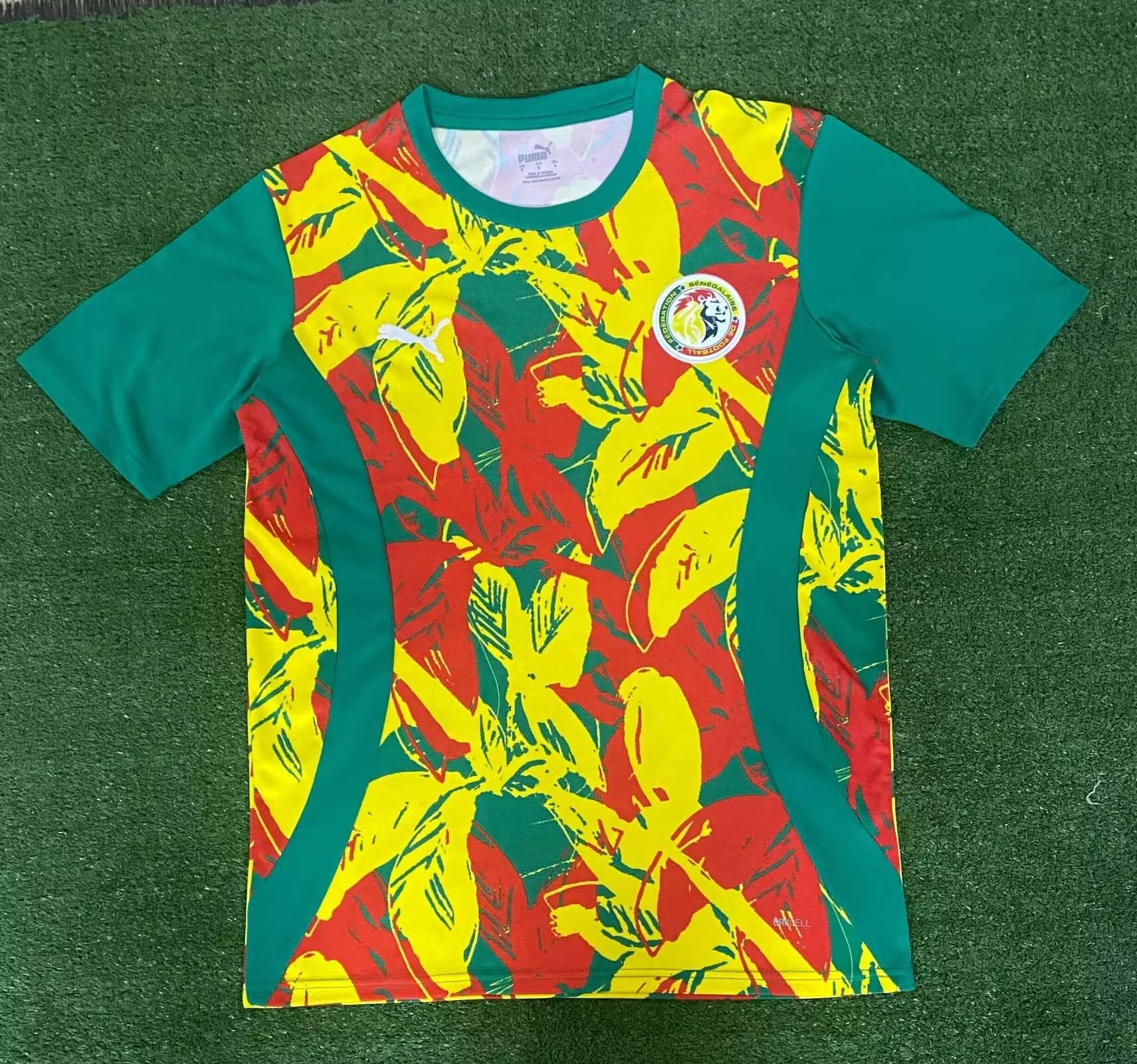 2024/2025 Senegal National Team Training Wear Football Shirt AAA fan-grade