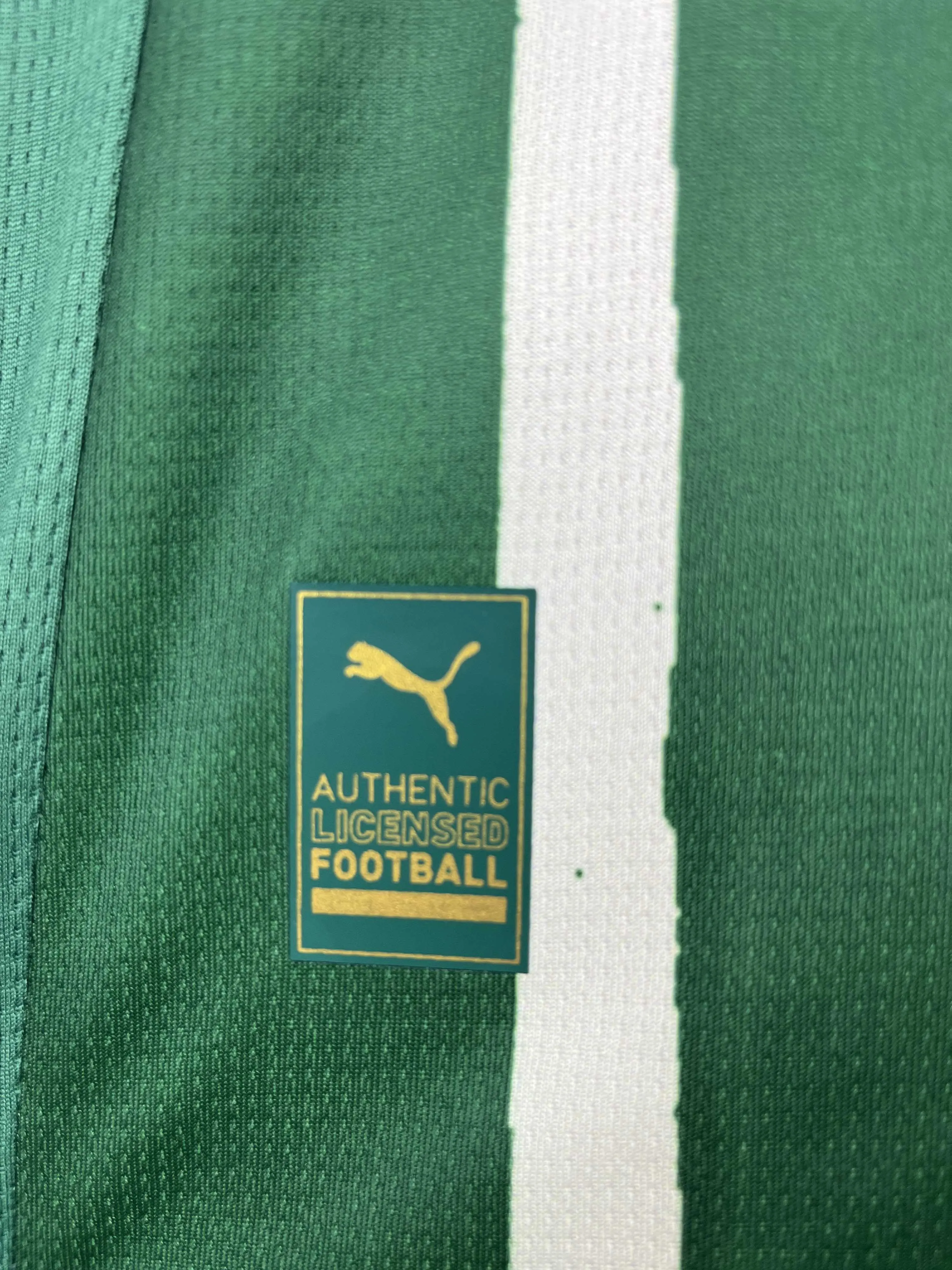 2025/2026 Palmeiras Home Football Jersey AAA fan-grade — view 6