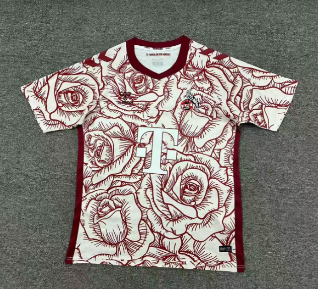 2025-2026 FC Köln Special Edition Football Jersey AAA fan-grade