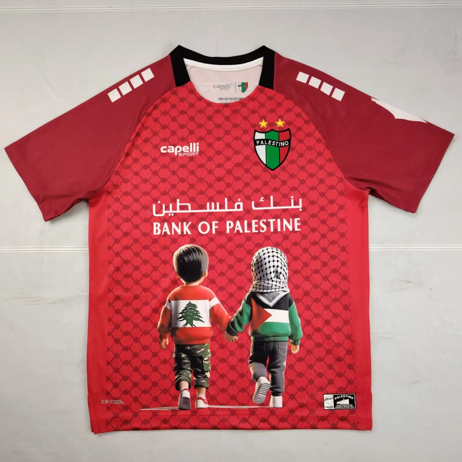 2025/2026 Palestine Special Edition 02 Football Shirt AAA fan-grade