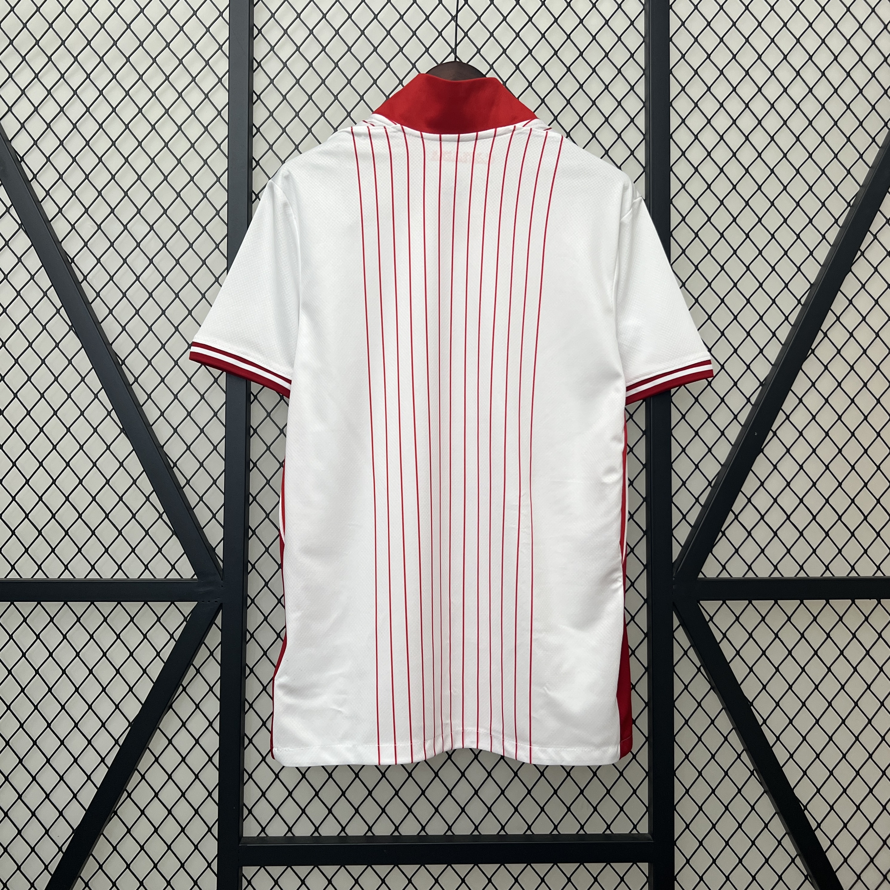 2024 Kanada Nationalmannschaft Auswärts-Trikot AAA Fan-Qualität — view 2