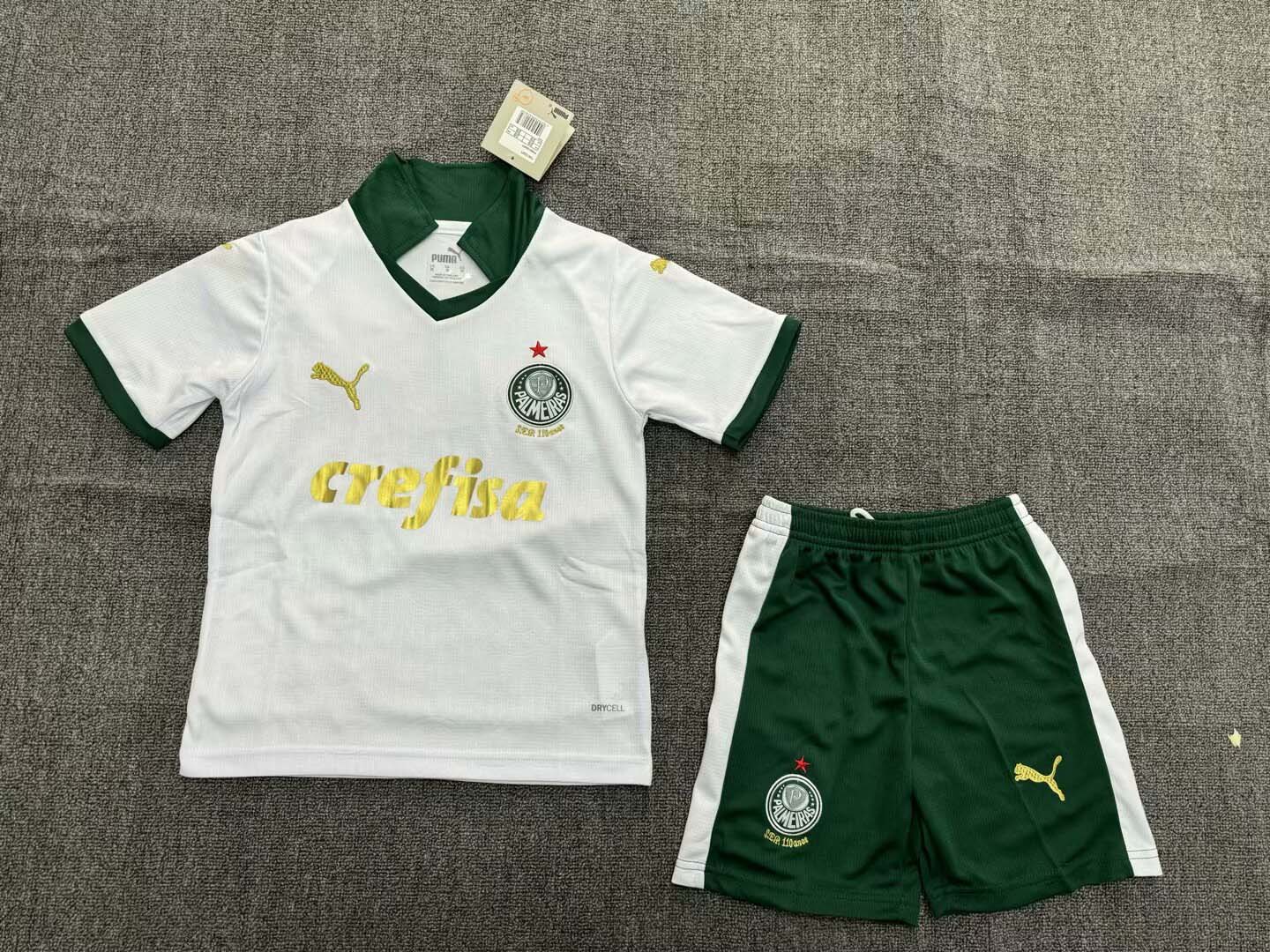 2024/2025 Palmeiras Away Jersey AAA fan-grade Kids Size