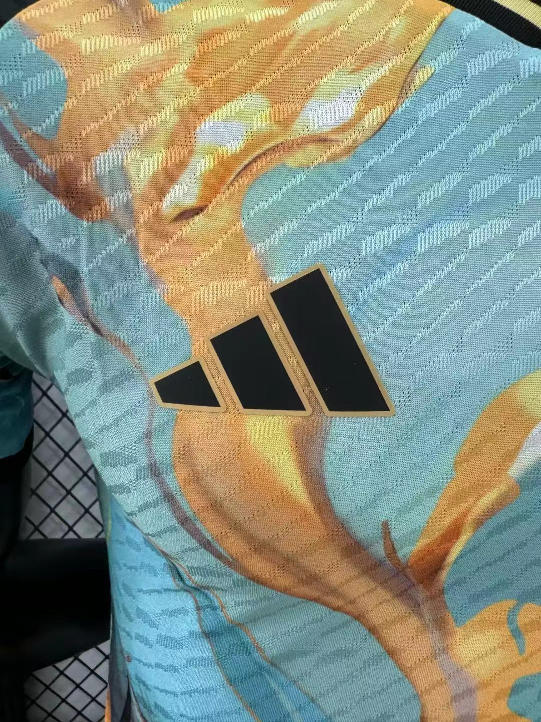 2024/2025 Player Version Argentina Special Edition Jersey 02 — view 5