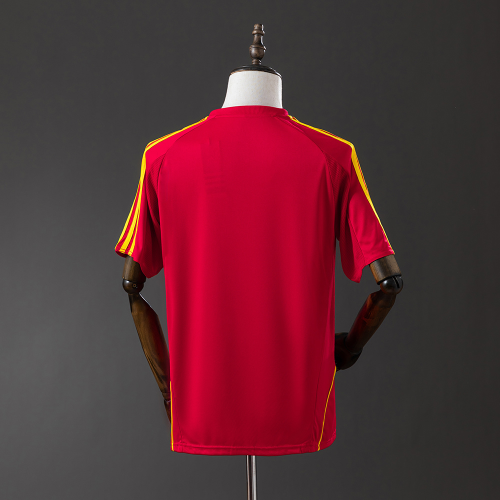 Maillot rétro 2008 Espagne Domicile AAA qualité fan — view 2