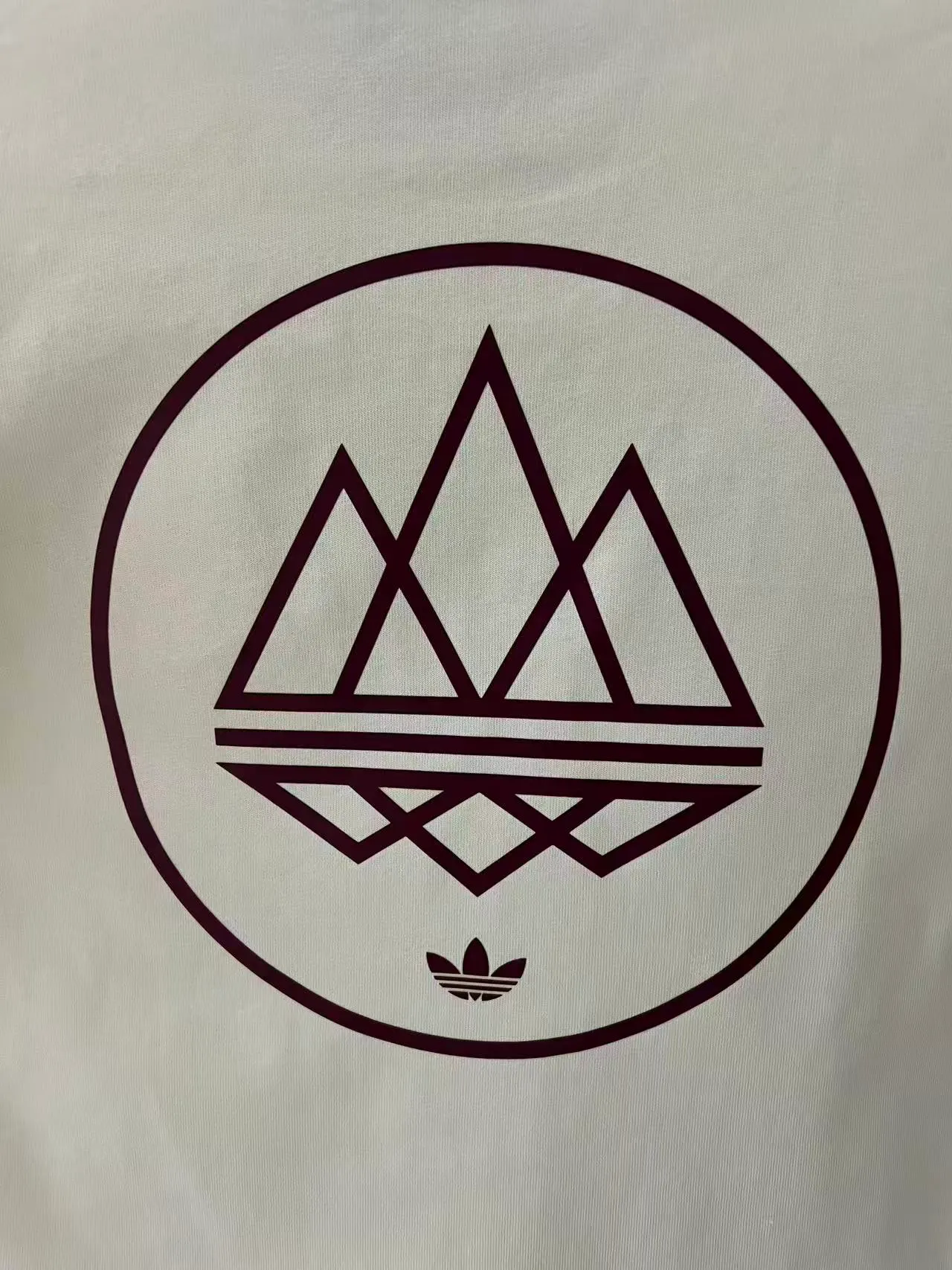 2025/2026 Aston Villa Cotton T-Shirt — view 4