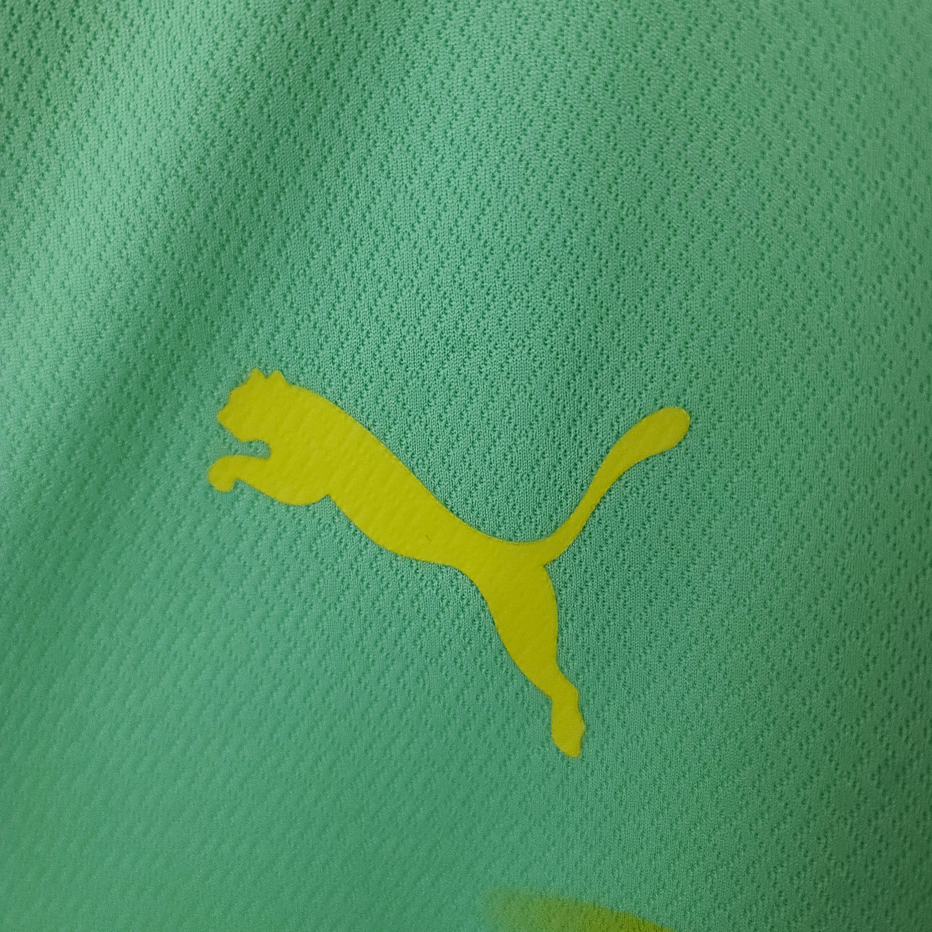 2022/2023 Palmeiras Third Away Jersey AAA fan-grade — view 4