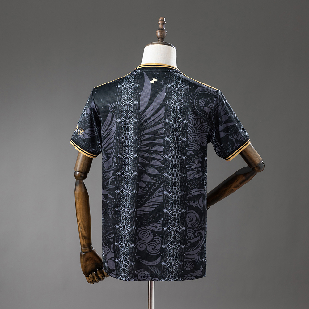 2026/2027 Argentina Special Edition Jersey AAA fan-grade — view 2