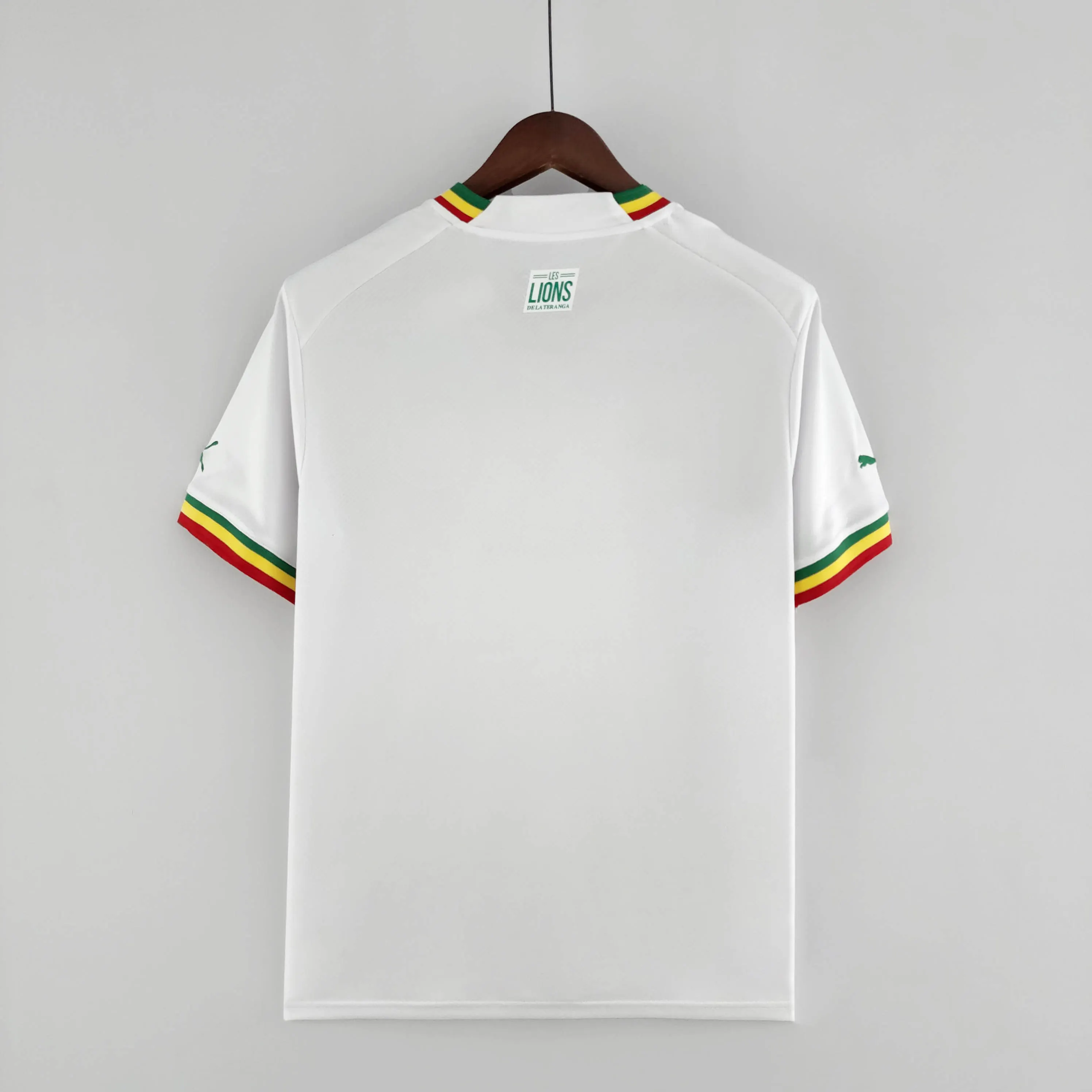 2022 FIFA World Cup Senegal National Team Home Shirt — view 2